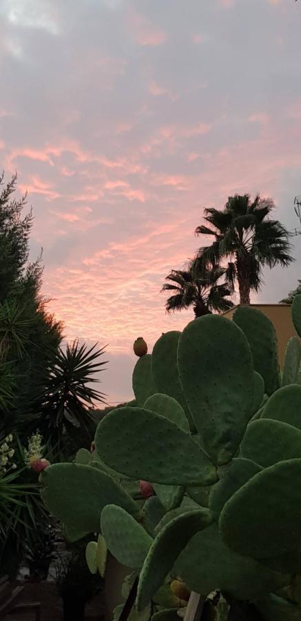 B&B Le Dune Beach San Leone Exterior foto